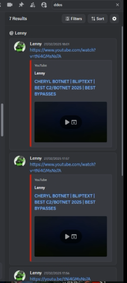 Discord search for ddos filtered to the owner's account, 27 February 2025, showing a botnet video link